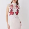 Best reviews of ⭐ Karen Millen Rose Guipure Lace Mini 👗 Dress 😉 -Dresses Sales Store bkk08197 rose xl