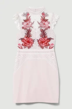 Best reviews of ⭐ Karen Millen Rose Guipure Lace Mini 👗 Dress 😉 -Dresses Sales Store bkk08197 rose xl 3